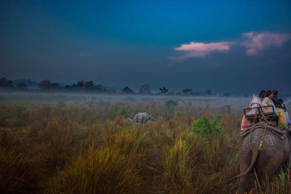 4 Nights & 5 Days Meghalaya Assam Tour - Image 7