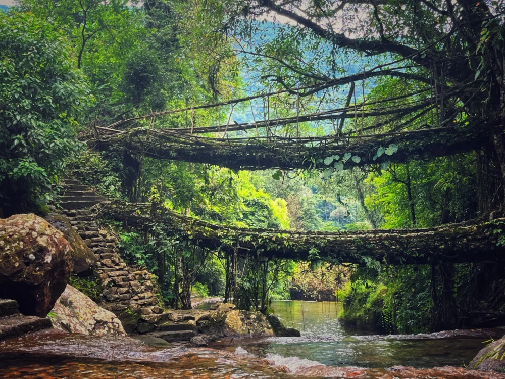 4 Nights & 5 Days Meghalaya Assam Tour
