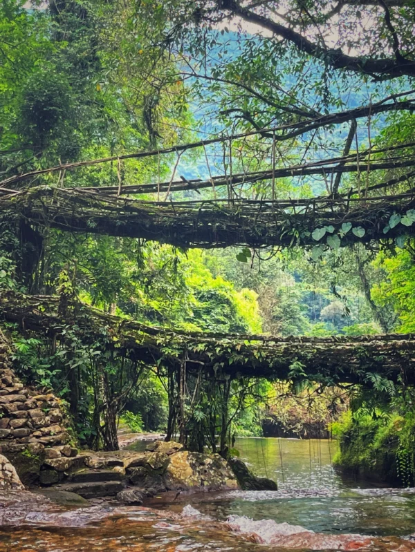 4 Nights & 5 Days Meghalaya Assam Tour